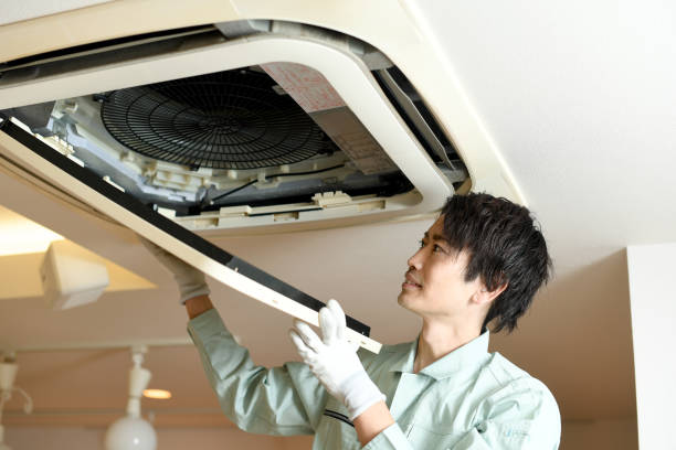 Best Air Duct Cleaning Near Me  in Forestville, OH